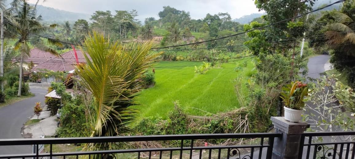 Giri Swari Homestay Sidemen  Buitenkant foto